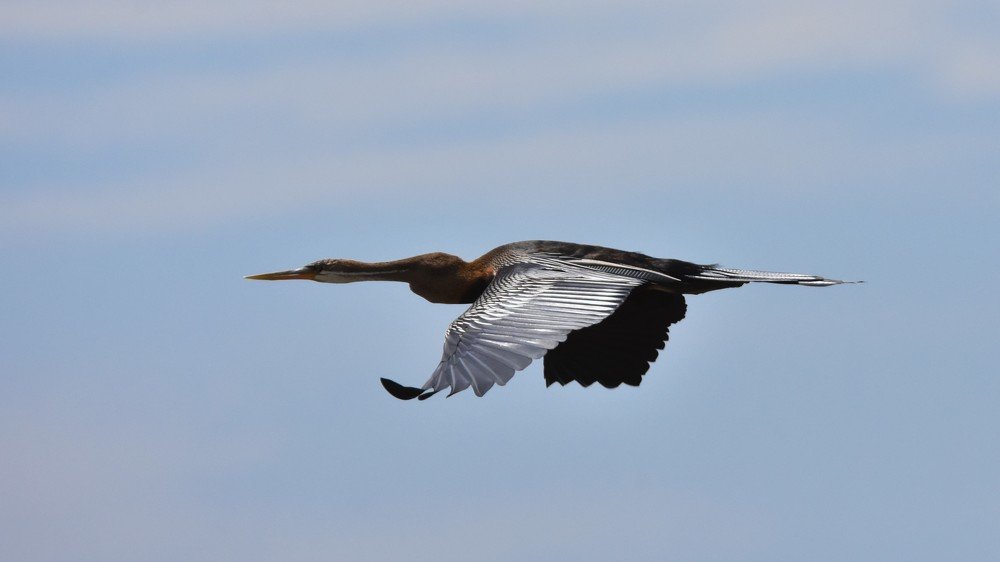 Photograph by Karuna Premalal Wanigasekara Arachchilage
