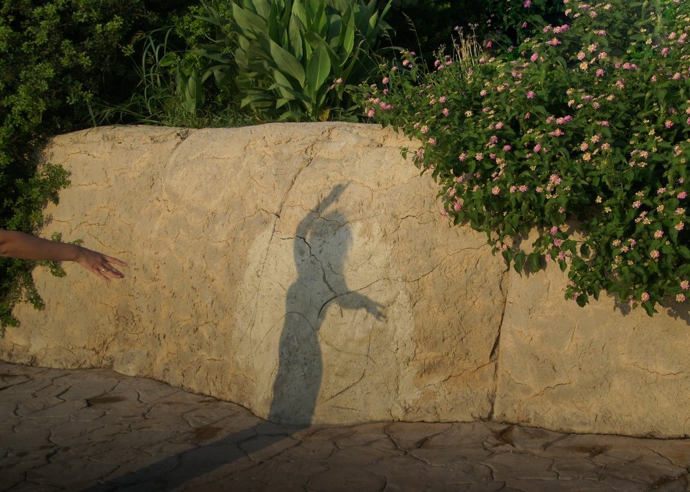 Photograph by Ирина Тарасенко