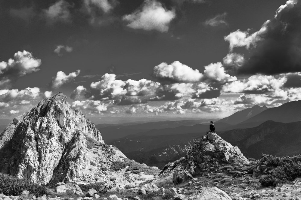 Photograph by Krzysztof Pawlicki