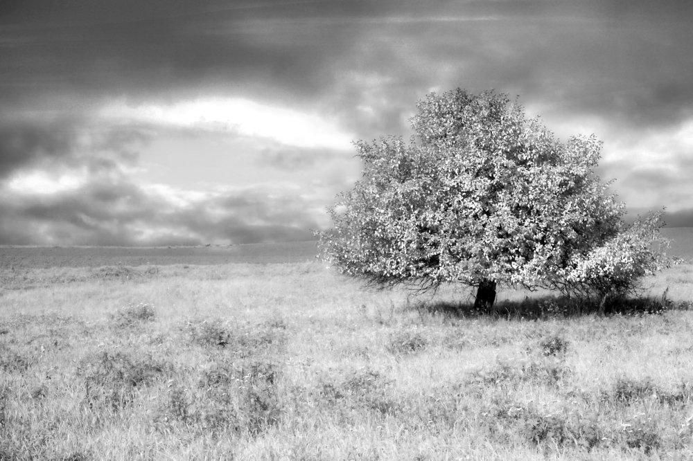 Photograph by Krzysztof Pawlicki