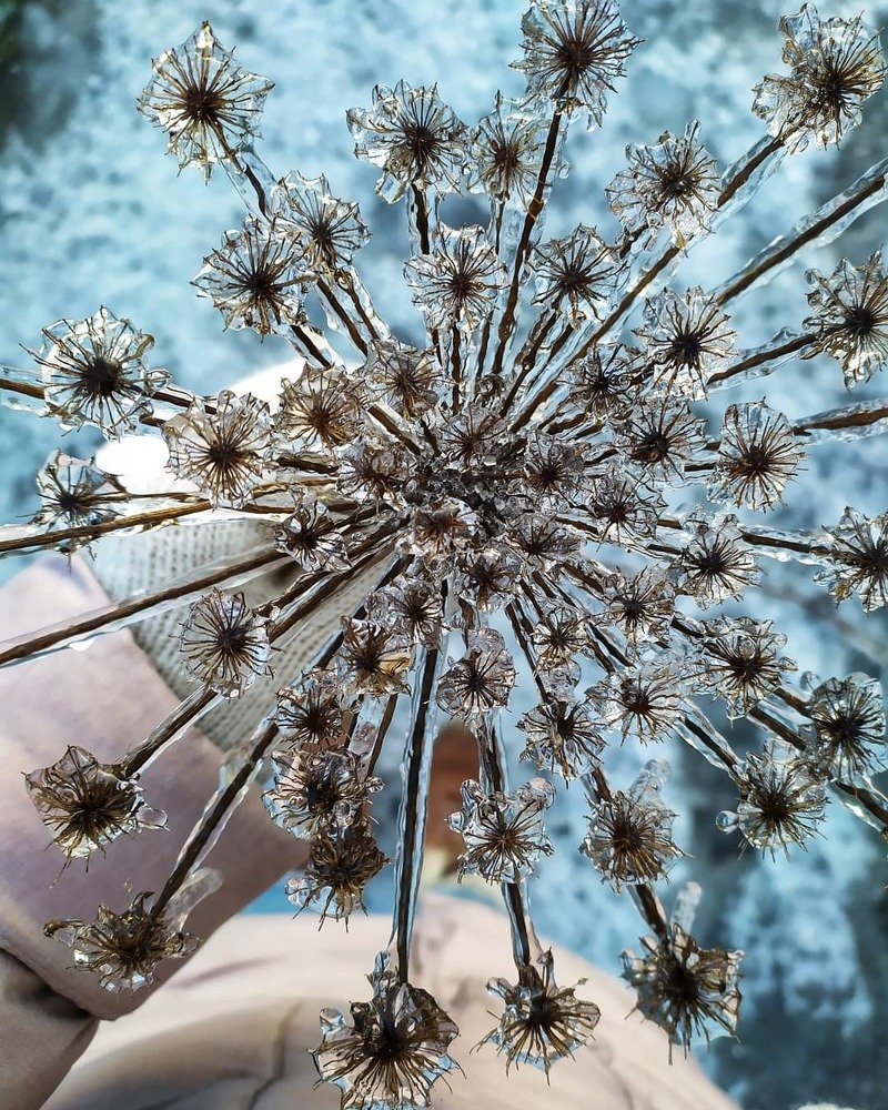 Photograph by Анна Евграфова