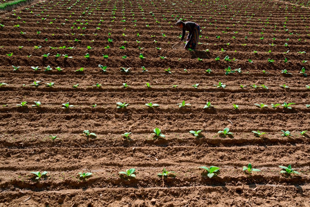 Фотография автора Nawas Sharif Nawas
