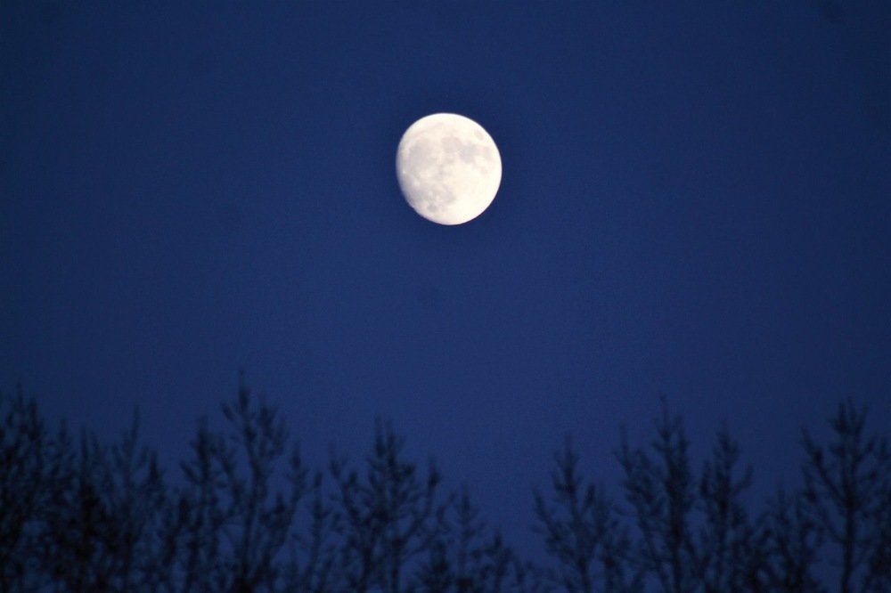 Photograph by Jennifer Garbutt