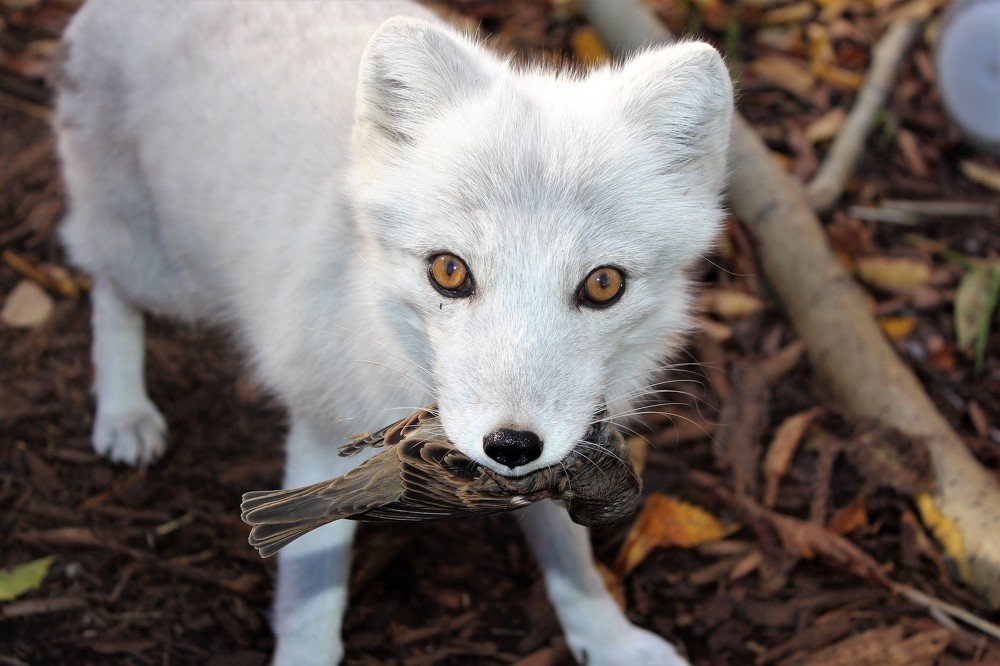 Photograph by Jennifer Garbutt