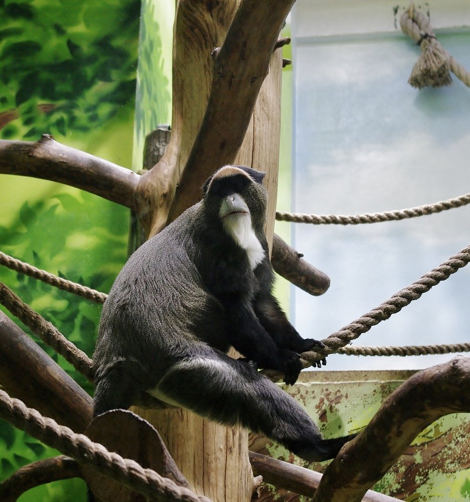 Photograph by Сергей Конищев