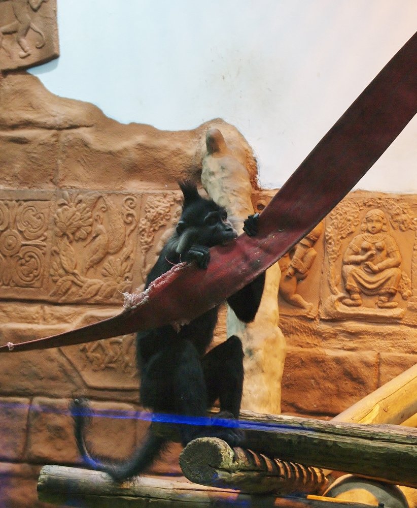 Photograph by Сергей Конищев