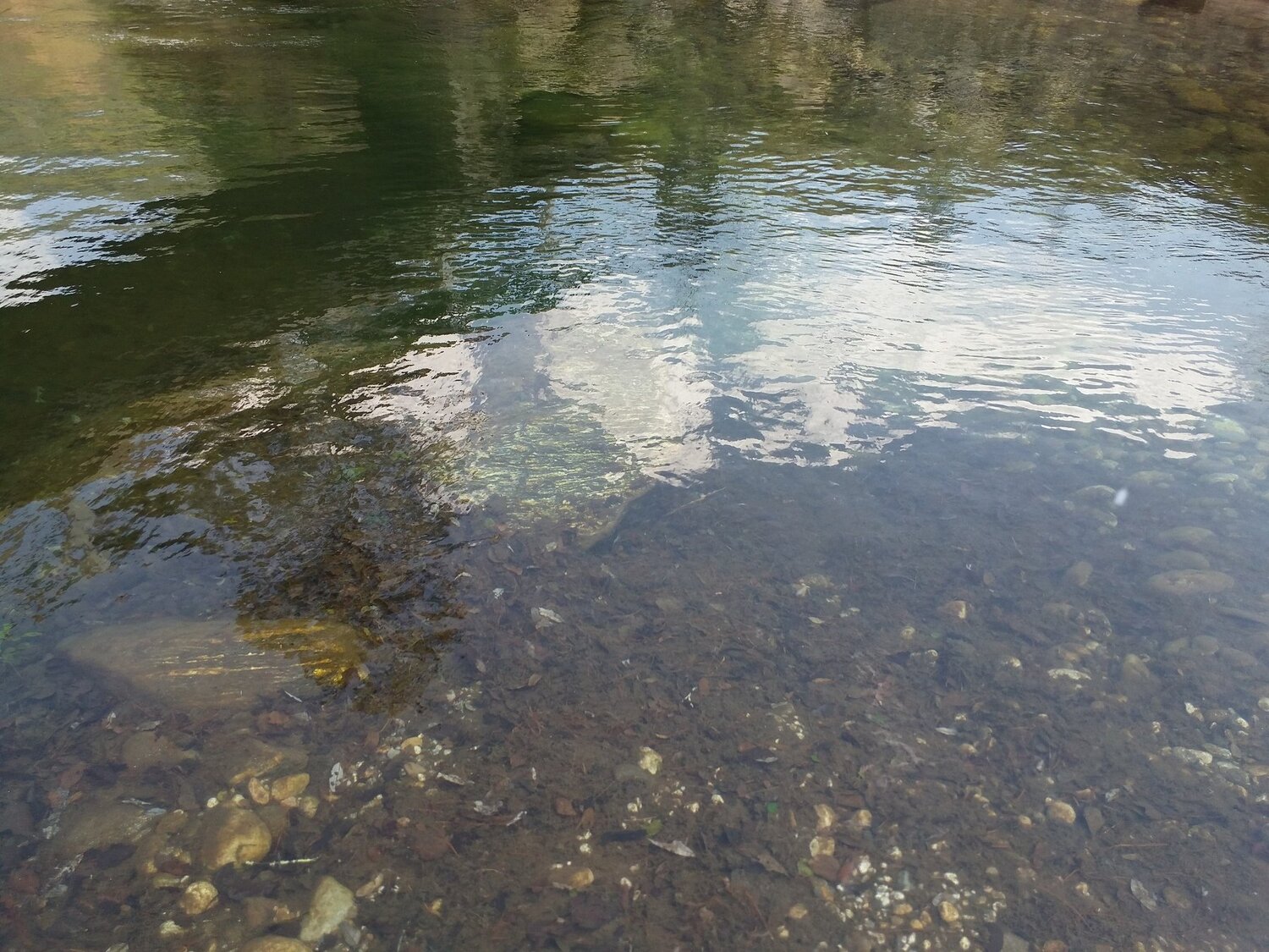 Photo #4243661