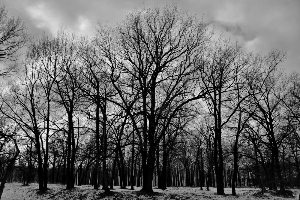 Photograph by Эльмира Владимирова