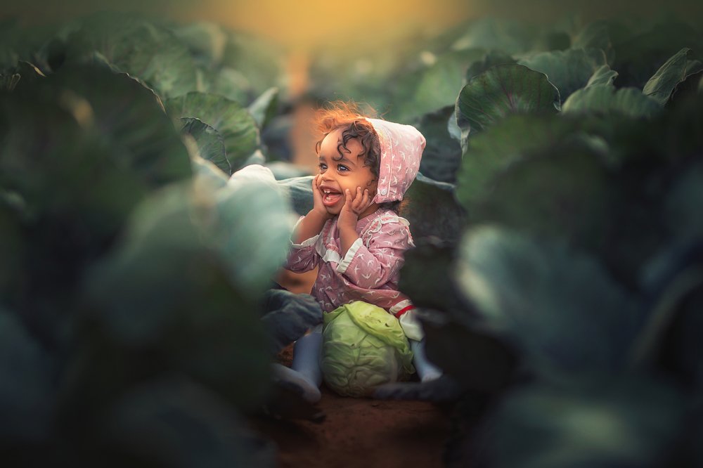 Photograph by yarden kaplan