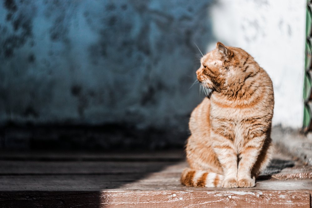 Photograph by Павел Милкин