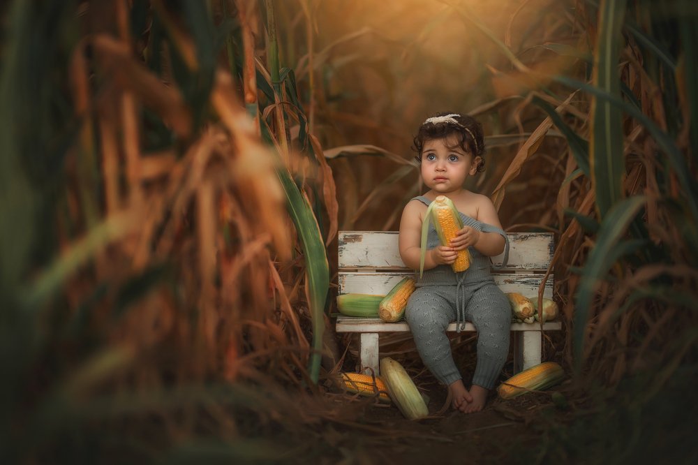 Photograph by yarden kaplan