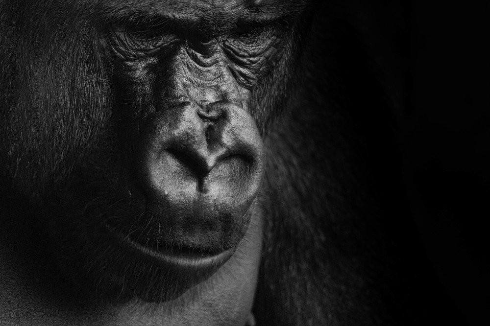 Photograph by Catalin Arcu