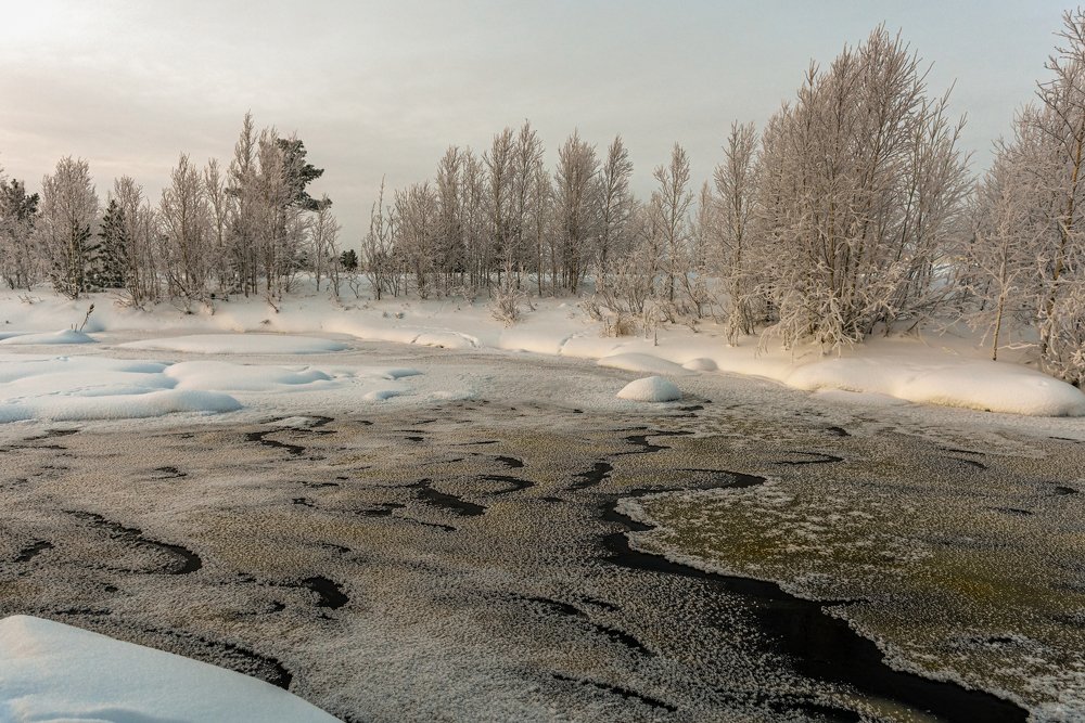 Зимний пейзаж