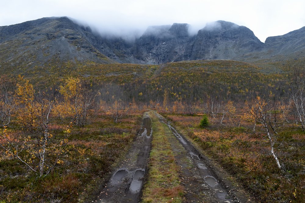 Дорога в осень
