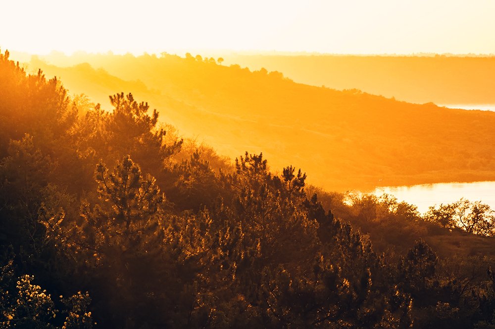 Photograph by Анна Петренко-Лопатина