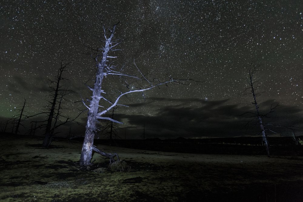 Photograph by Елена Верещака