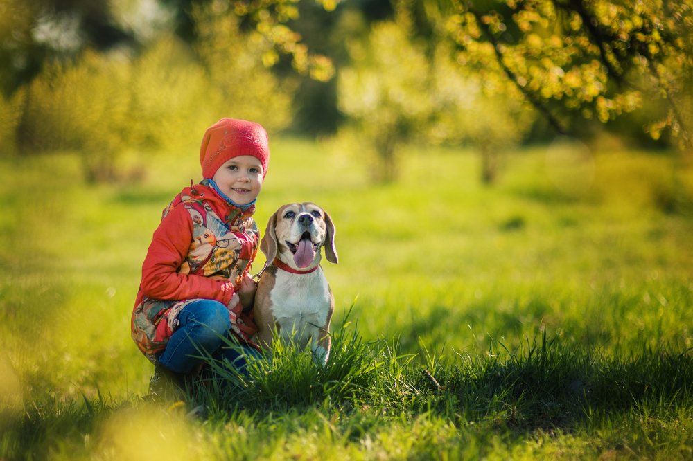 Photograph by Velichko Aleksandr