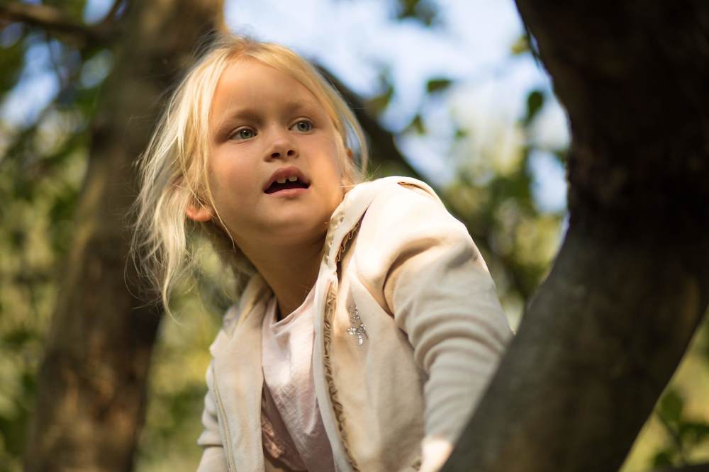 Photograph by Татьяна Дубовицкая