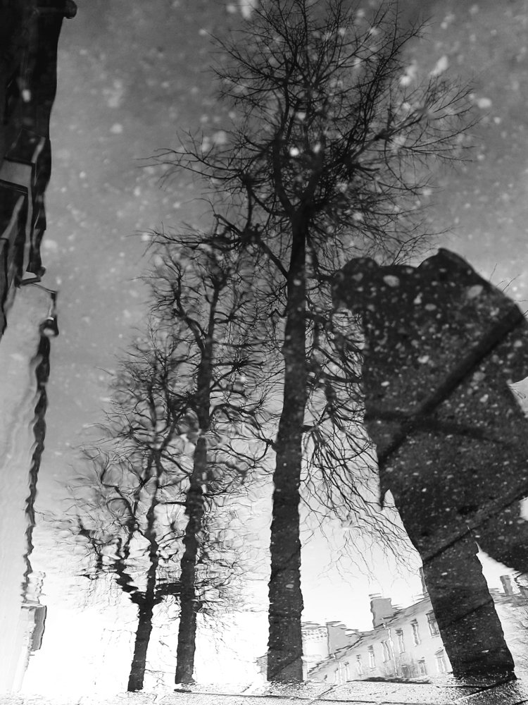 Photograph by Людмила Орловская