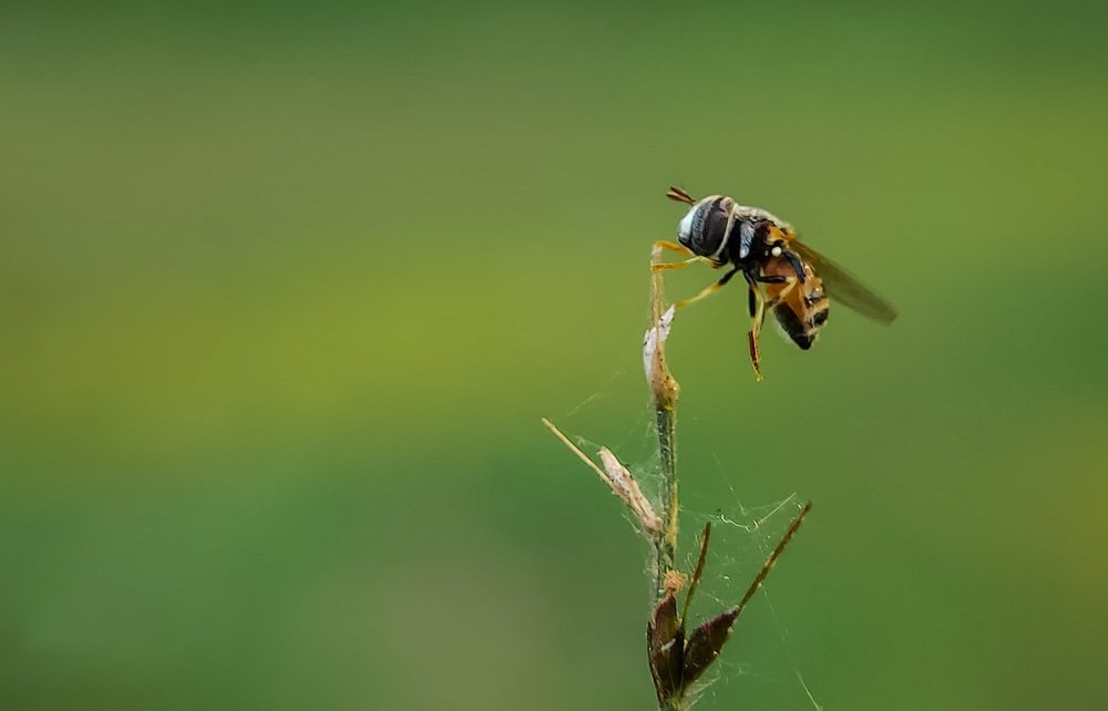 Photograph by Supritam Sarkar