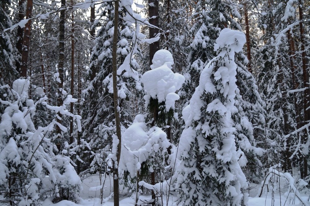 «Природный памятник»Птица с просьбой к человеку».