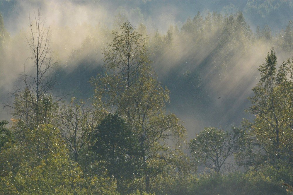 Photograph by Игорь Сизов