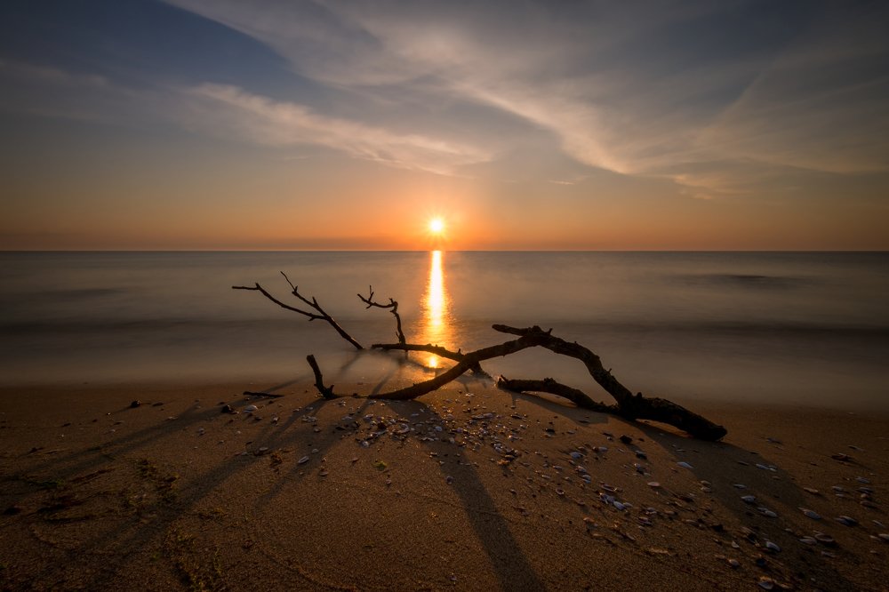 Photograph by Mary Avedissian