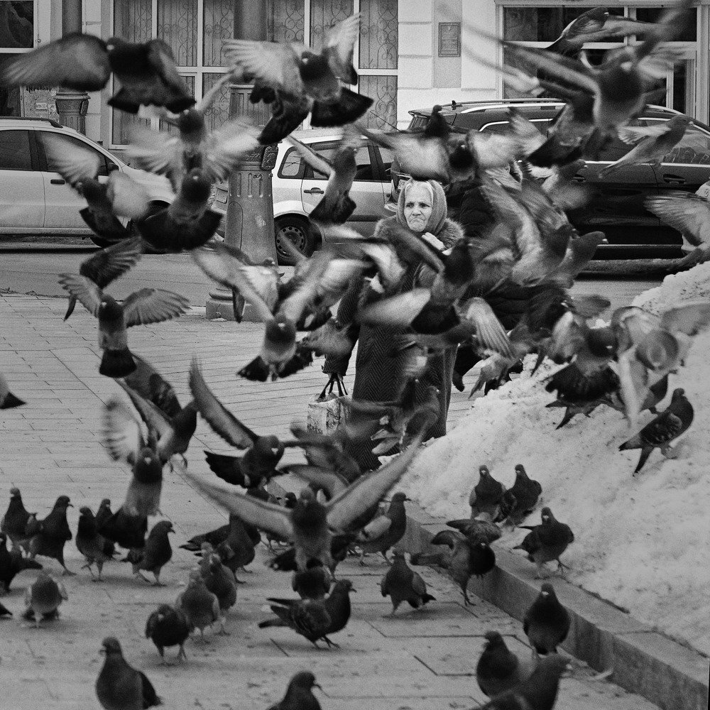 Photograph by Дмитрий Федоровский