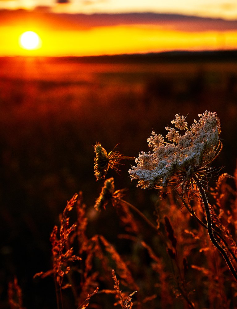 Photograph by Екатерина Коломыцева