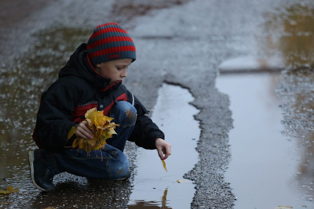Фотография автора Лариса Шарина