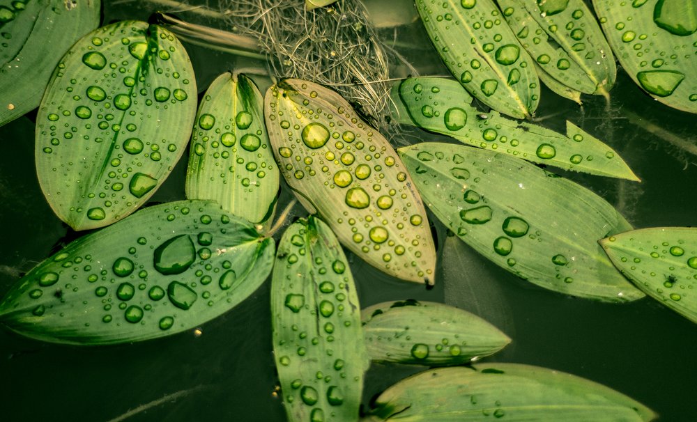 Photograph by Мансур Гаджиев