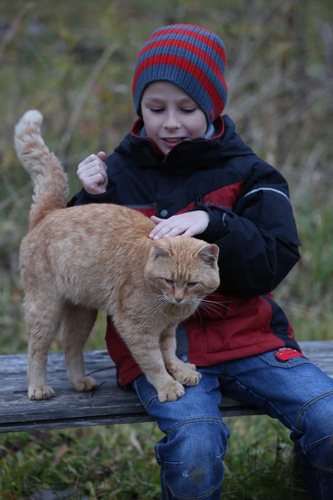Фотография автора Лариса Шарина