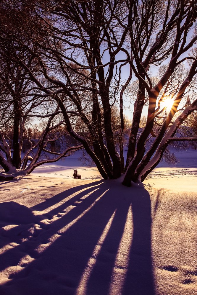 Photograph by Darja Akakjeva