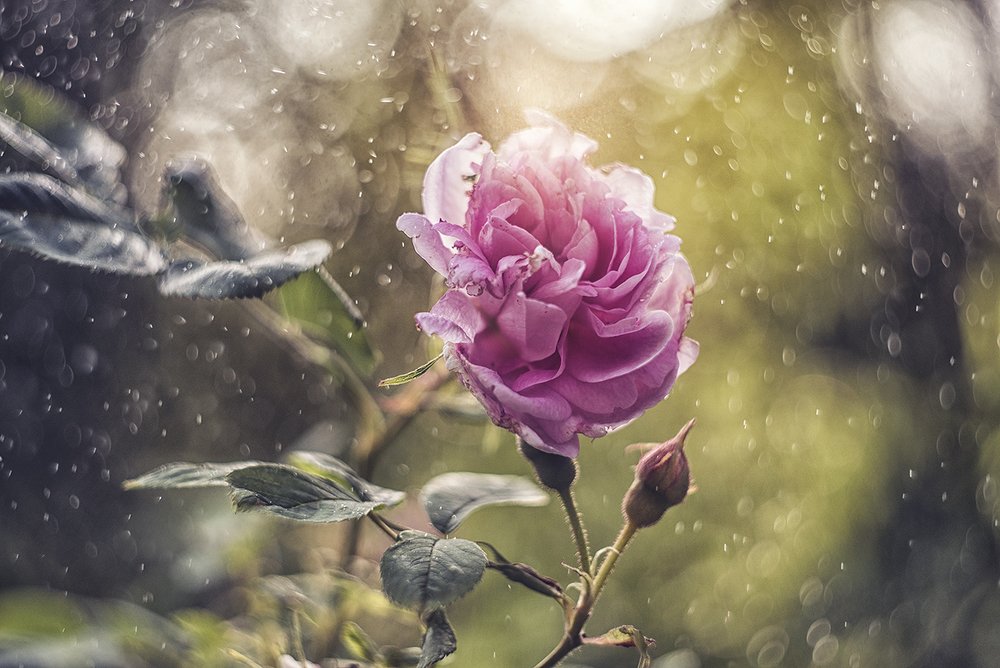 Photograph by Ксения Орлова