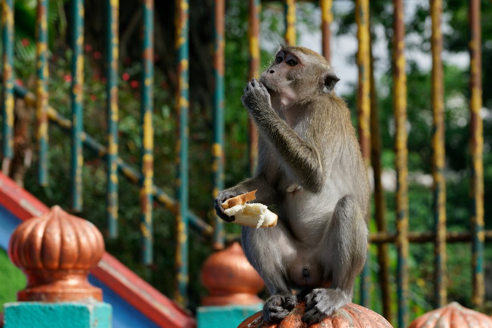 Photograph by Mahmudul Hasan