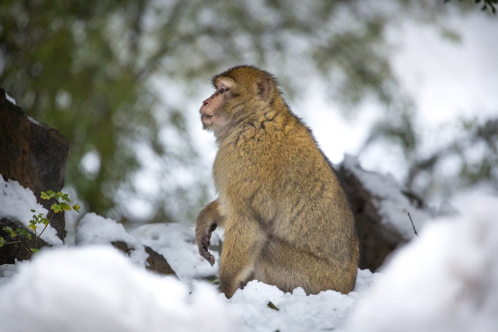 Photograph by Никита Шиндин