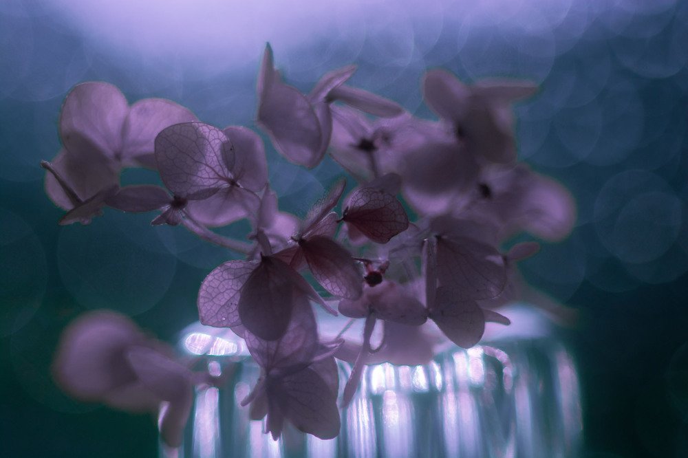 Photograph by Татьяна Конопацкая