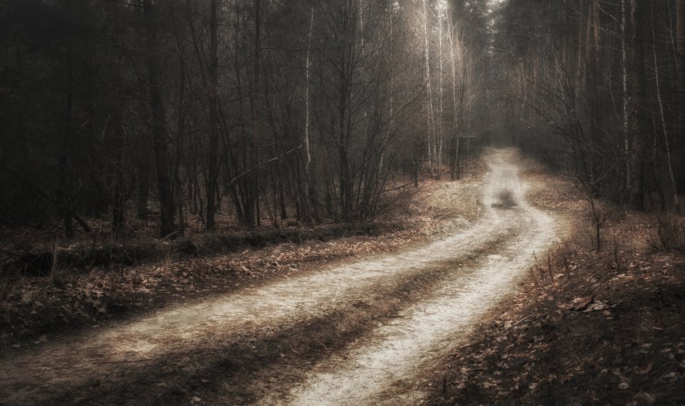 Photograph by логинов денис александрович