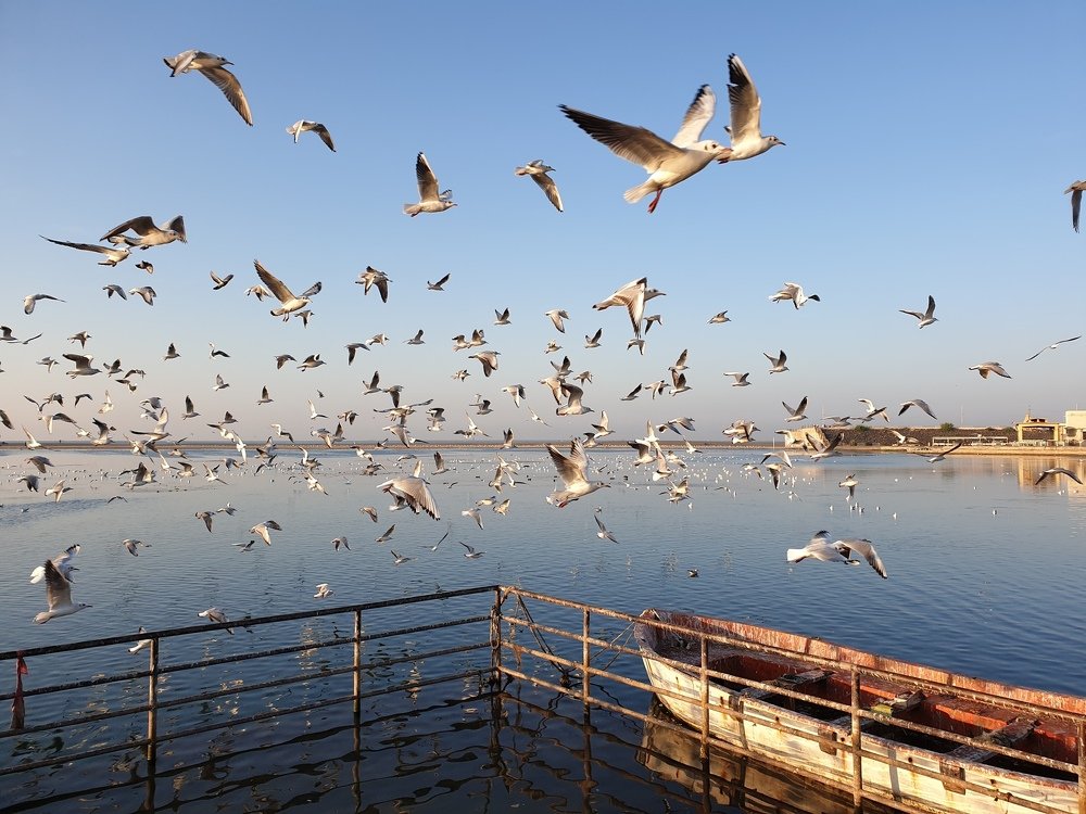 Photograph by Bhavesh Jethva