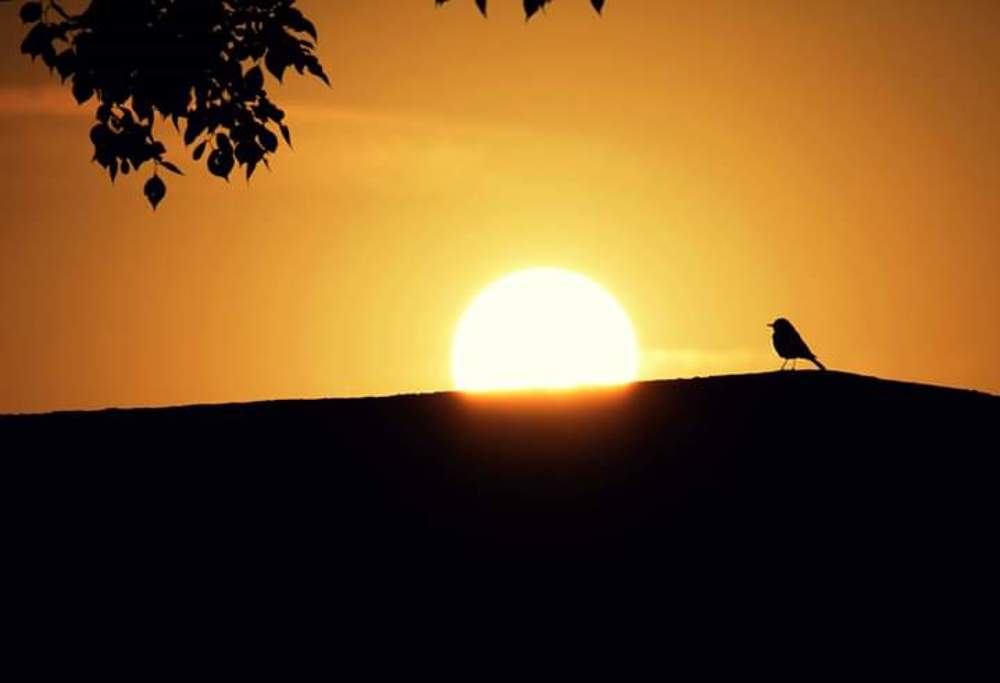 Photograph by Hassan Dastgir