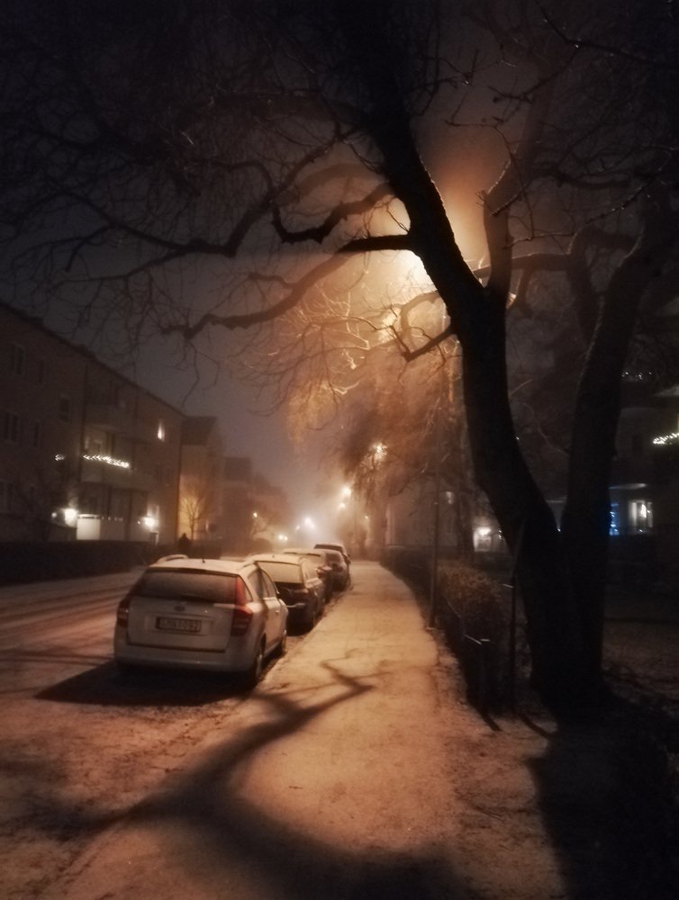 Photograph by Liudmila Drake