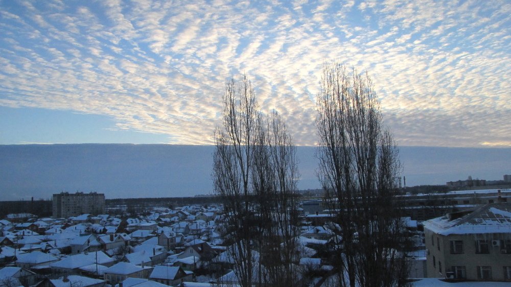 Photo #4245298