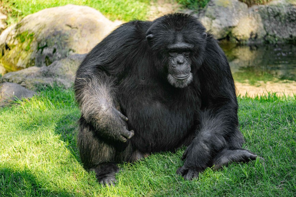 Photograph by Catalin Arcu