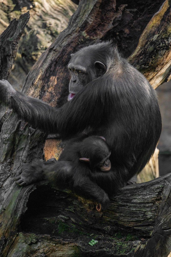 Photograph by Catalin Arcu