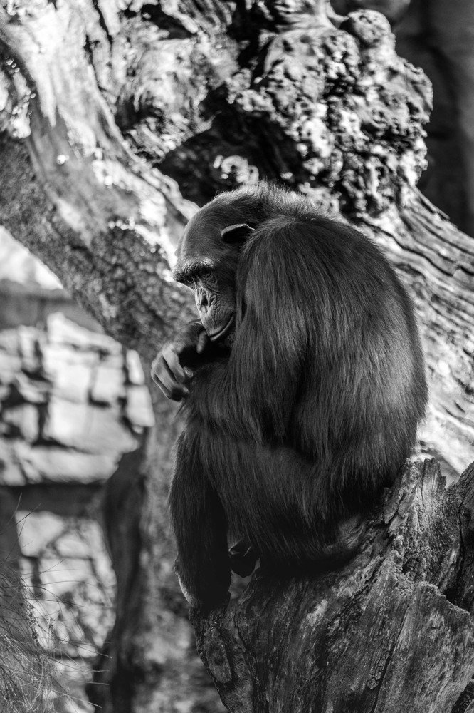 Photograph by Catalin Arcu