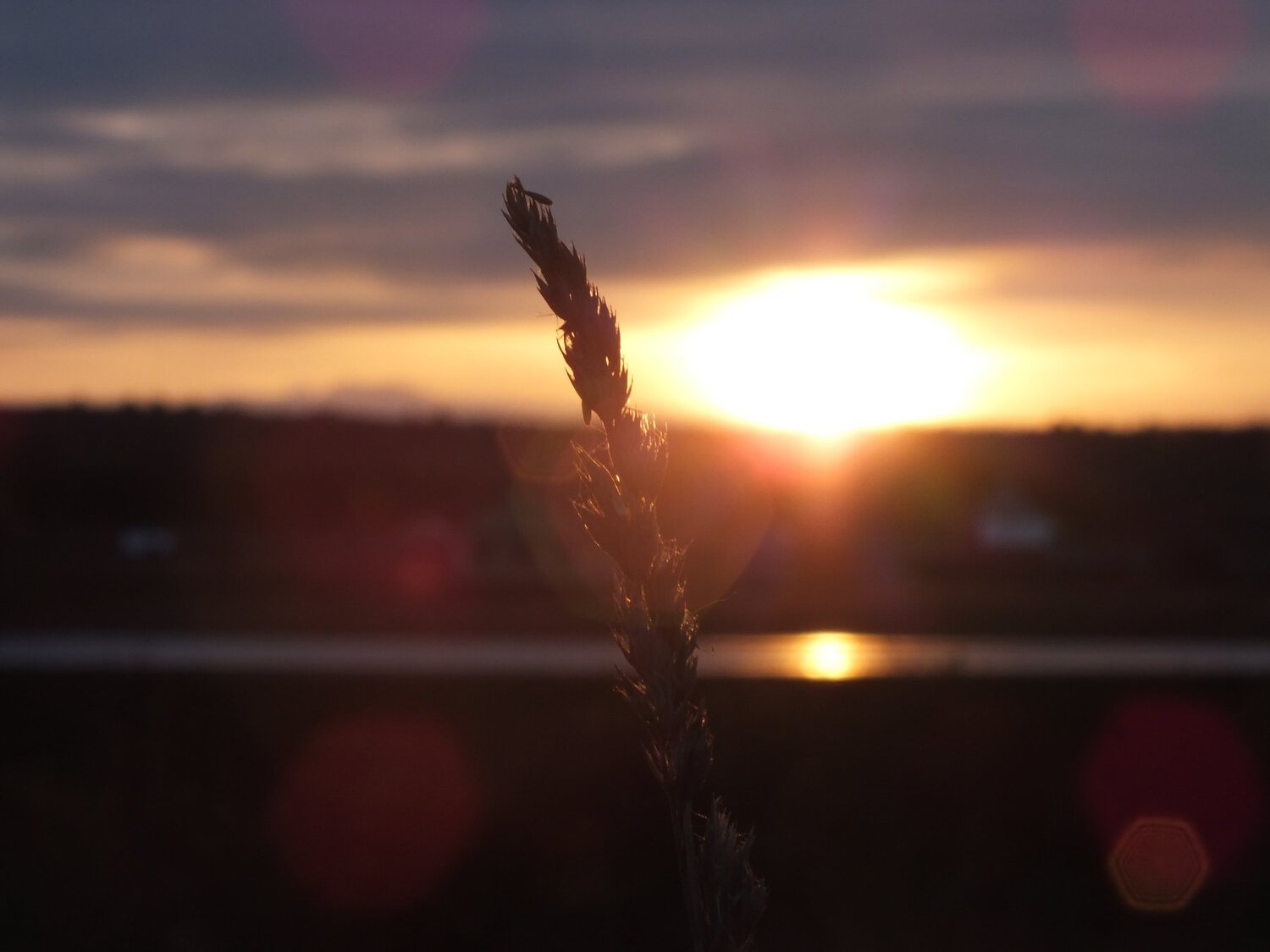 Photo #4245396