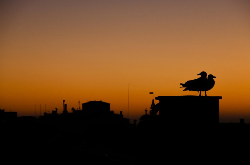 Photograph by Ricardo Pereira