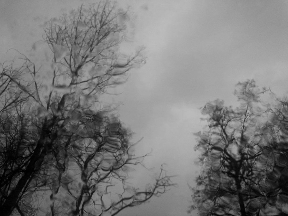 Дождливый вечер