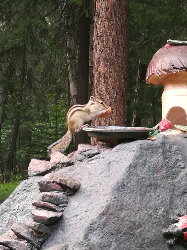 Photo #4245436