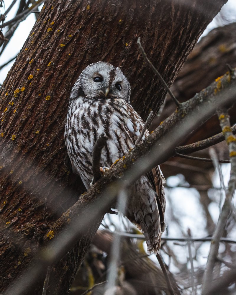 Photograph by Алексей Кашин